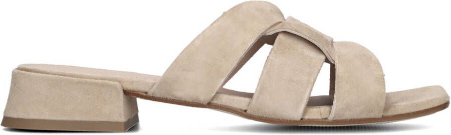 LINA LOCCHI Muiltjes Dames L1381 Maat: 37 Materiaal: Suède Kleur: Beige