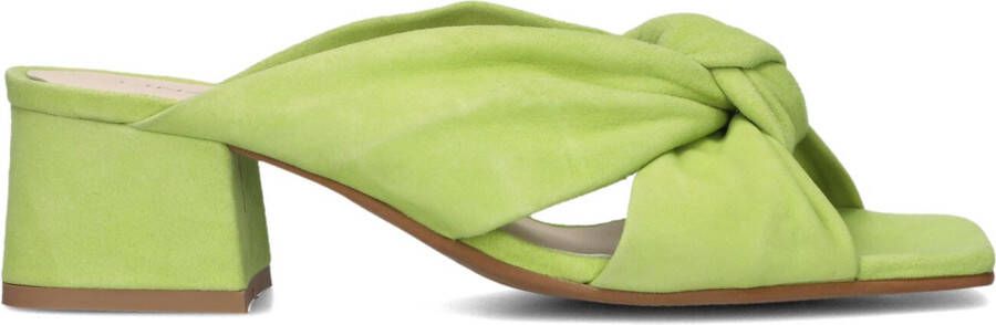 LINA LOCCHI Muiltjes Dames L1407 Maat: 36 Materiaal: Suède Kleur: Groen - Foto 2