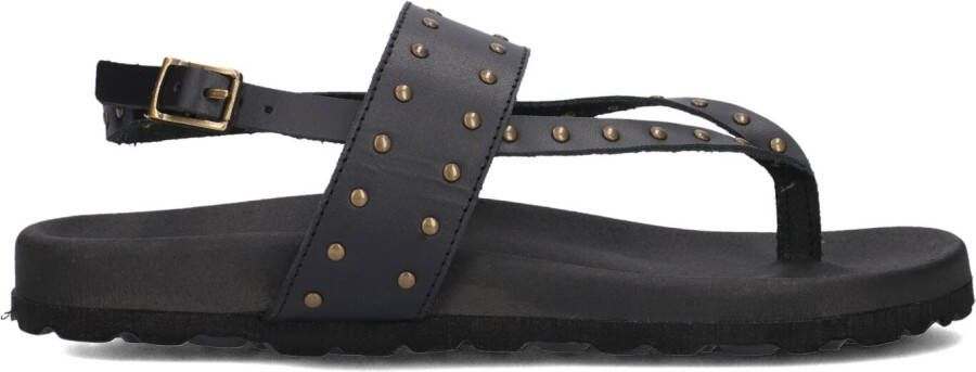 LINA LOCCHI Sandalen Dames Led Teenslip Sandaal Met Studs Maat: 37 Materiaal: Leer Kleur: Zwart