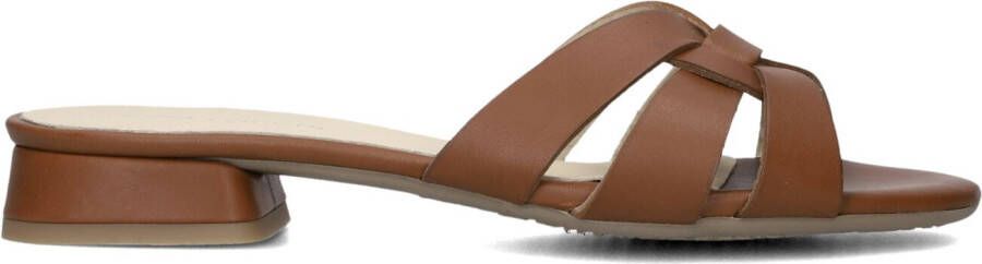 LINA LOCCHI Slippers Dames Led Knoop Slipper Maat: 36 Materiaal: Leer Kleur: Bruin