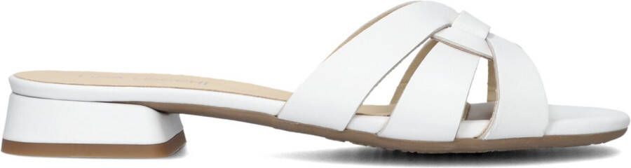 LINA LOCCHI Slippers Dames Led Knoop Slipper Maat: 36 Materiaal: Leer Kleur: Wit - Foto 2