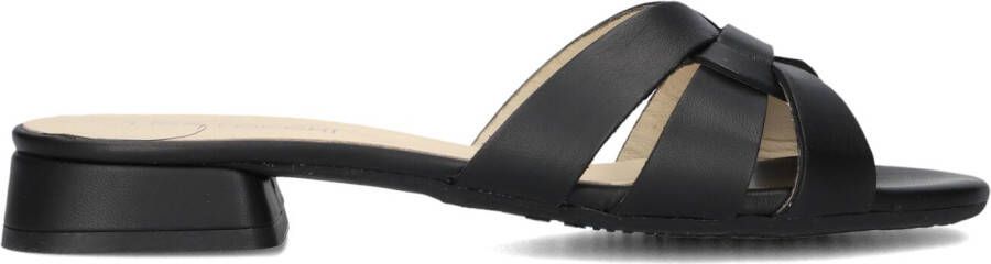 LINA LOCCHI Slippers Dames Led Knoop Slipper Maat: 36 Materiaal: Leer Kleur: Zwart