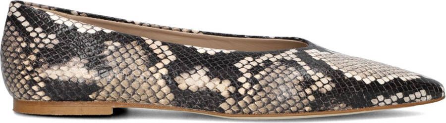 ODARE Ballerina Dames Girona Met Maat: 40 Materiaal: Leer