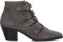 PERTINI Enkellaarsjes Dames 12368 Maat: 35 Materiaal: Suède Kleur: Grijs - Thumbnail 4