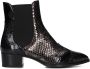 PERTINI Enkellaarsjes Dames 30961 Maat: 37 Materiaal: Leer Kleur: Zwart - Thumbnail 3