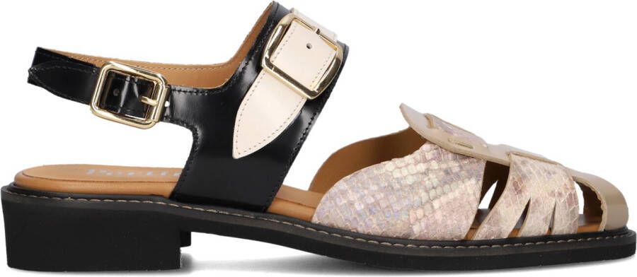 PERTINI Ballerina Dames 35155 Maat: 40 Materiaal: Lakleer Kleur: Beige - Foto 20