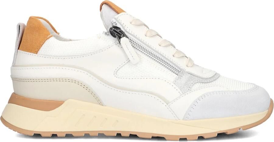 PIEDI NUDI PiediNudi Lage Sneakers Dames Lore 22.01 Maat: 38 Materiaal: Leer Kleur: Wit - Foto 3