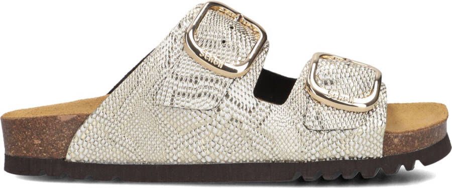 SCHOLL Slippers Dames Noelle Maat: 36 Materiaal: Leer Kleur: Goud