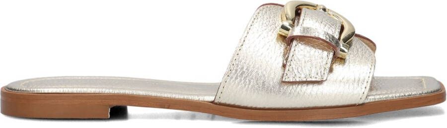 STEFANO LAURAN Slippers Dames 23100 Maat: 42 Materiaal: Leer Kleur: Goud - Foto 3