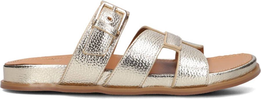STEFANO LAURAN Teenslippers Dames 89863 1661 Maat: 41 Materiaal: Leer Kleur: Goud