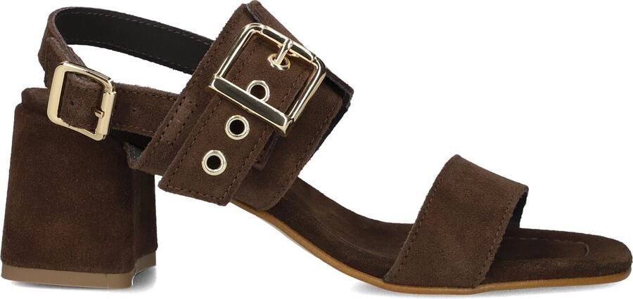 STEFANO LAURAN Sandalen met Hak Dames 25038 Suède Bruin