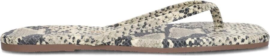 TKEES Teenslippers Dames Square Toe Exotics Maat: 37 Materiaal: Leatherlook