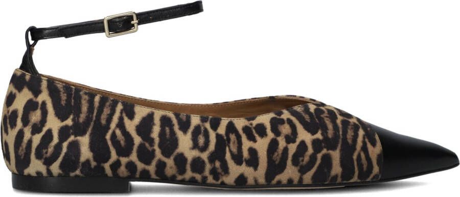 TORAL Ballerina Dames Cristelle Maat: 38 Materiaal: Suède Kleur: Bruin