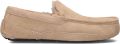 UGG Pantoffels Heren Ascot Suède Beige - Beige