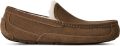 UGG Pantoffels Heren M Ascot Suède Bruin - Bronze/Goud