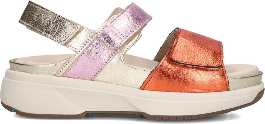 XSENSIBLE Sandalen met Hak Dames Aruba Maat: 40 Materiaal: Leer - Foto 2