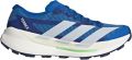 Adidas Terrex Agravic TT Trailrunningschoenen 1 3 blauw - Blauw