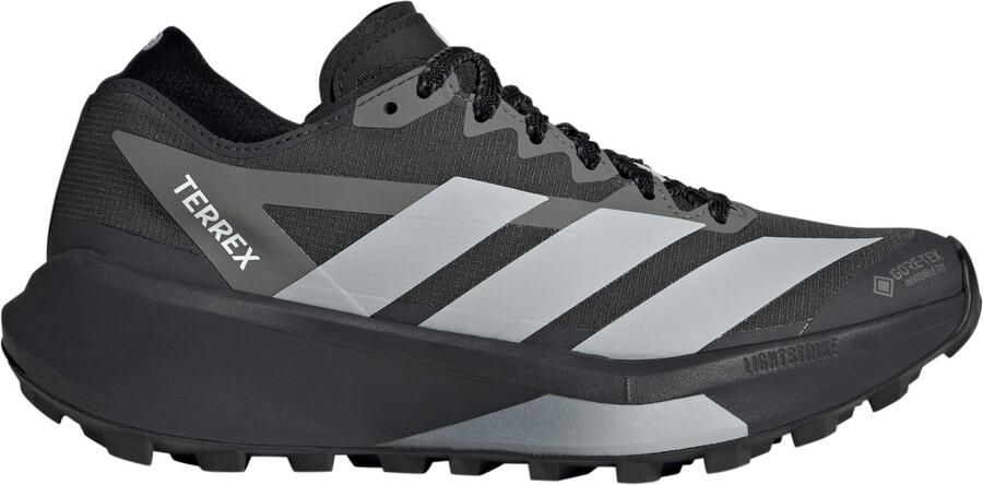 Adidas Terrex Women's Agravic GTX 2 Trailrunningschoenen 1 3 grijs