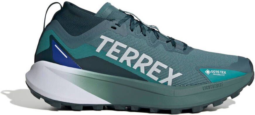adidas Terrex Agravic GTX Trail Trailrunningschoenen grijs