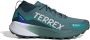 Adidas Terrex Agravic GTX Trail Trailrunningschoenen 2 3 grijs - Thumbnail 2
