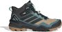 Adidas Terrex Skychaser GTX Multisportschoenen 1 3 grijs - Thumbnail 1