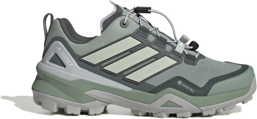 Adidas Terrex Women's Skychaser GTX Multisportschoenen grijs