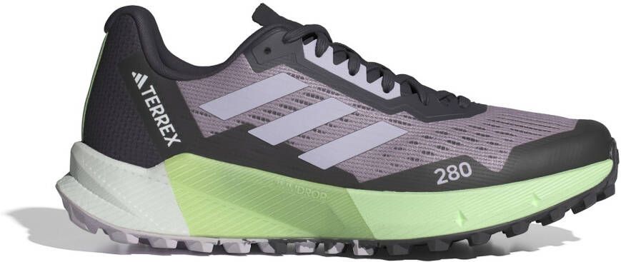 adidas Terrex Women's Terrex Agravic Flow 2.0 Trailrunningschoenen grijs