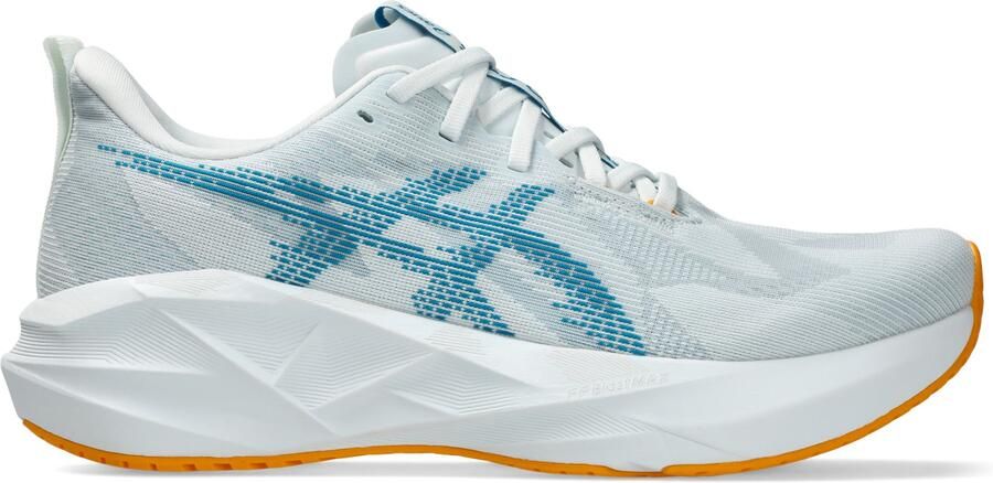 ASICS Novablast 5 Hardloopschoenen grijs