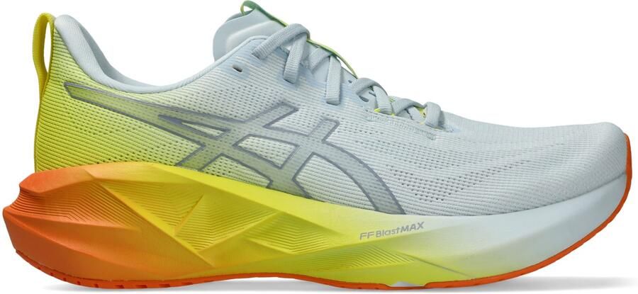 ASICS Novablast 5 Hardloopschoenen grijs