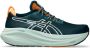 ASICS Gel-Nimbus 27 TR Hardloopschoenen meerkleurig - Thumbnail 1