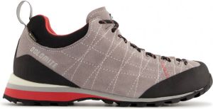 Dolomite Women's Diagonal GTX Approachschoenen bruin