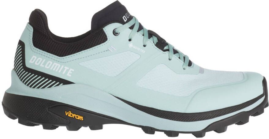 Dolomite Women's Nibelia GTX Wandelschoenen grijs