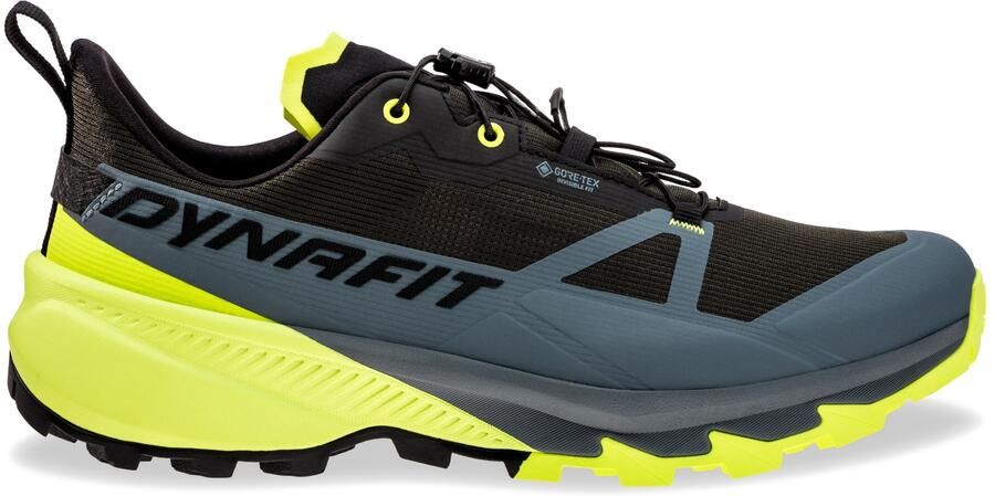 Dynafit Traverse 2 GTX Wandelschoenen meerkleurig