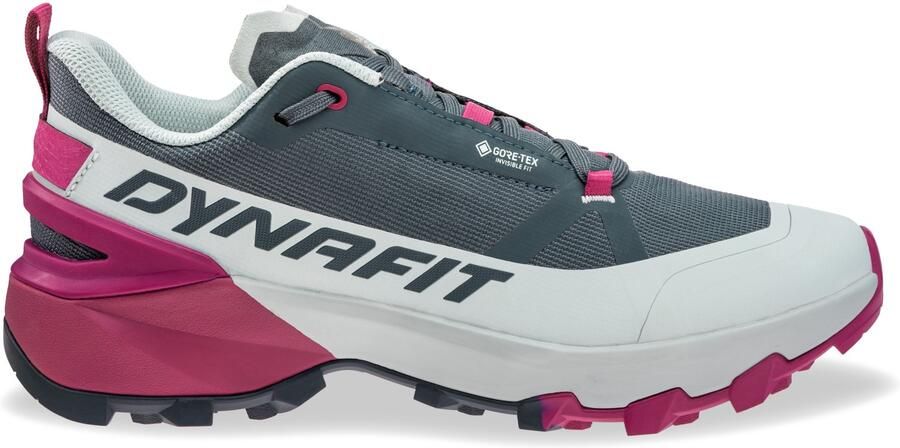 Dynafit Women's Transalper 2 GTX Approachschoenen grijs