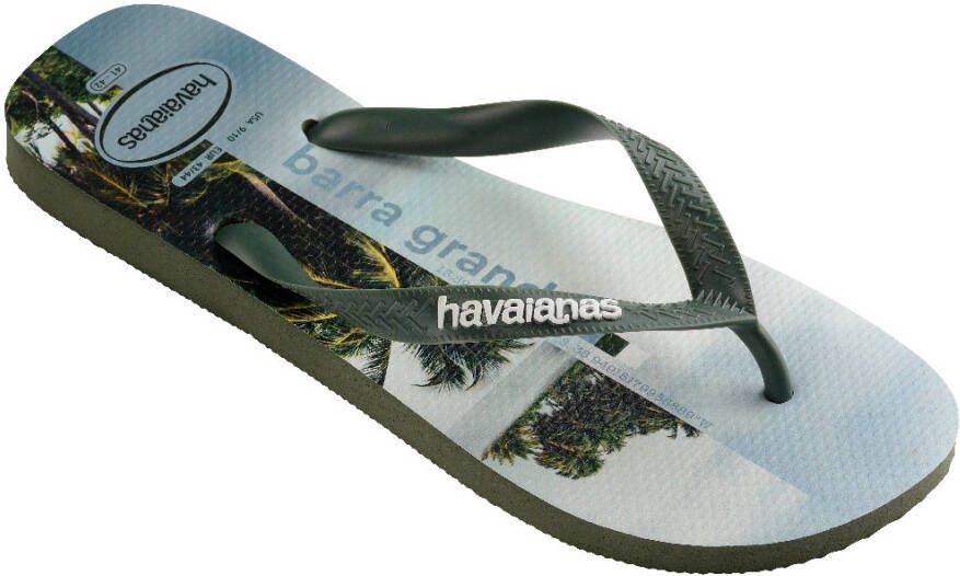 Havaianas Top Surfer I Sandalen grijs