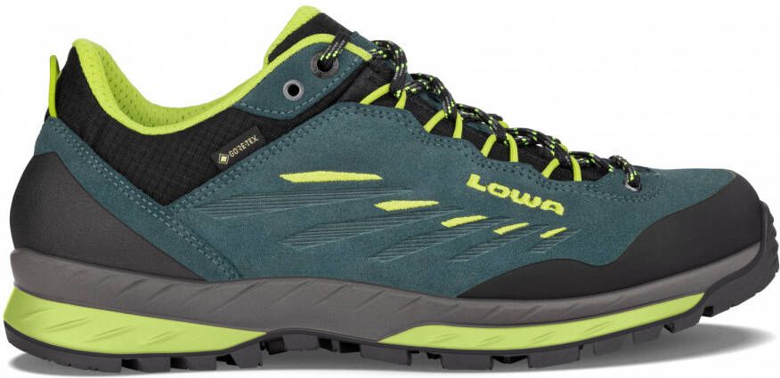 Lowa Delago GTX LO Wandelschoenen meerkleurig