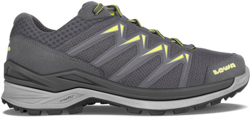 Lowa Innox Pro GTX LO Multisportschoenen grijs