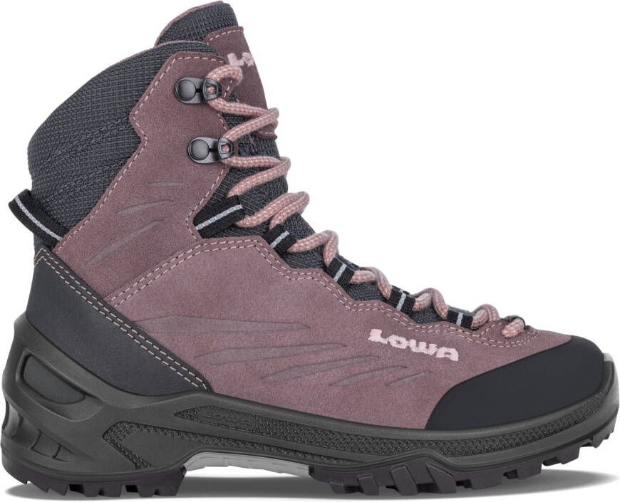 Lowa Women's Maddox Pro GTX LO Multisportschoenen Regular bruin - Foto 2