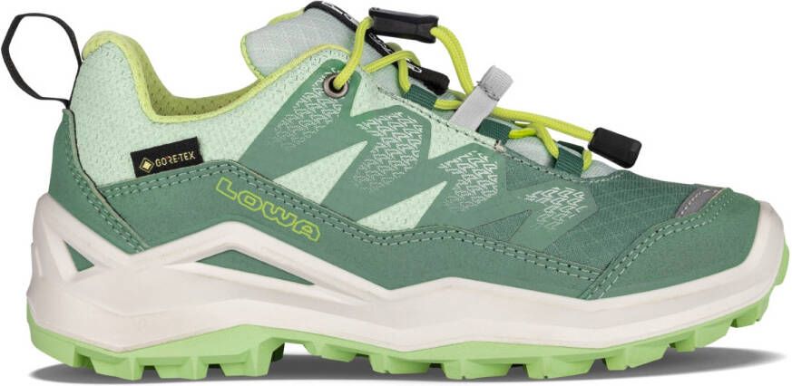 Lowa Kid's Maddox Pro GTX LO Multisportschoenen groen