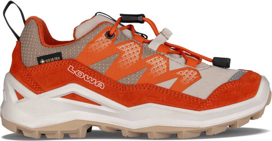 Lowa Kid's Maddox Pro GTX LO Multisportschoenen meerkleurig
