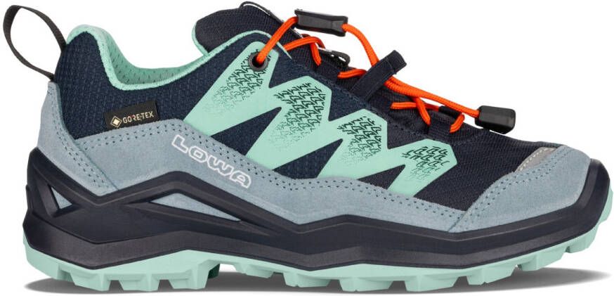 Lowa Kid's Maddox Pro GTX LO Multisportschoenen meerkleurig