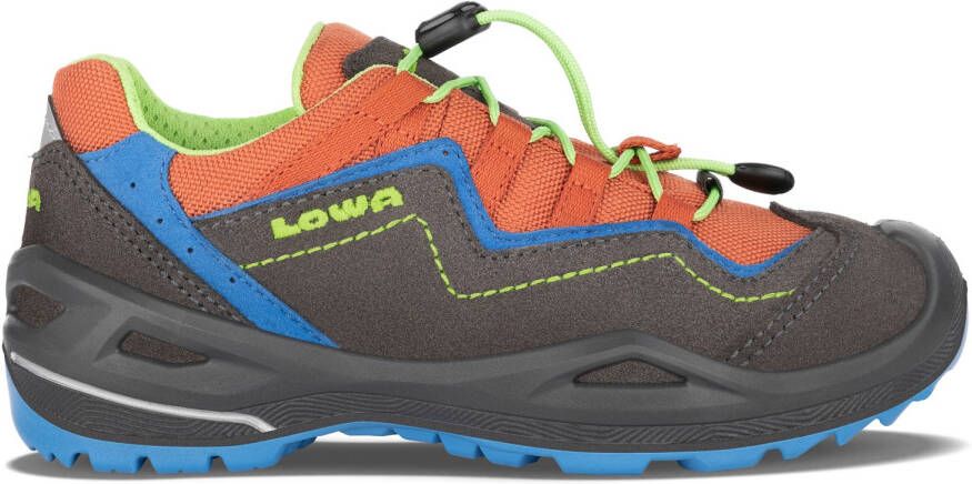 Lowa Kid's Robin Evo GTX LO Multisportschoenen grijs