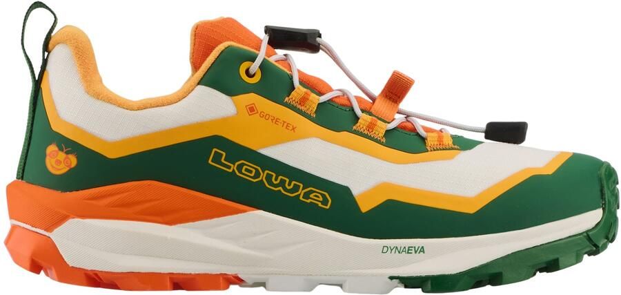 Lowa Kid's Fauli GTX Lo Multisportschoenen meerkleurig