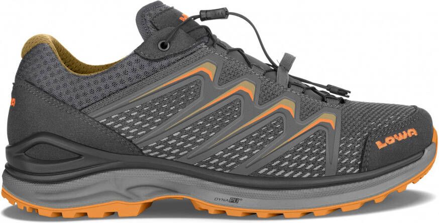 Lowa Maddox GTX Lo Multisportschoenen grijs