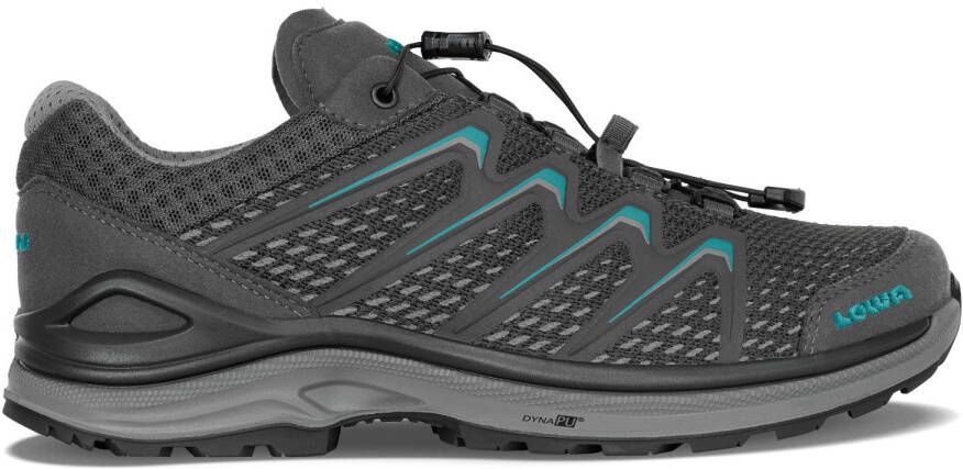 Lowa Women's Meadow GTX LO SL Multisportschoenen grijs