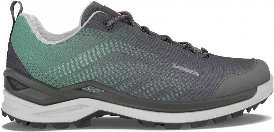Lowa Women's Zirrox GTX Lo Multisportschoenen grijs