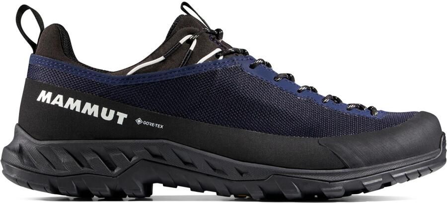 Mammut Alnasca IV Low GTX Approachschoenen 2 3 zwart