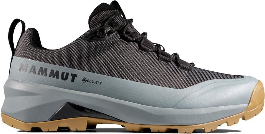 Mammut Ducan III Low GTX Multisportschoenen 2 3 grijs