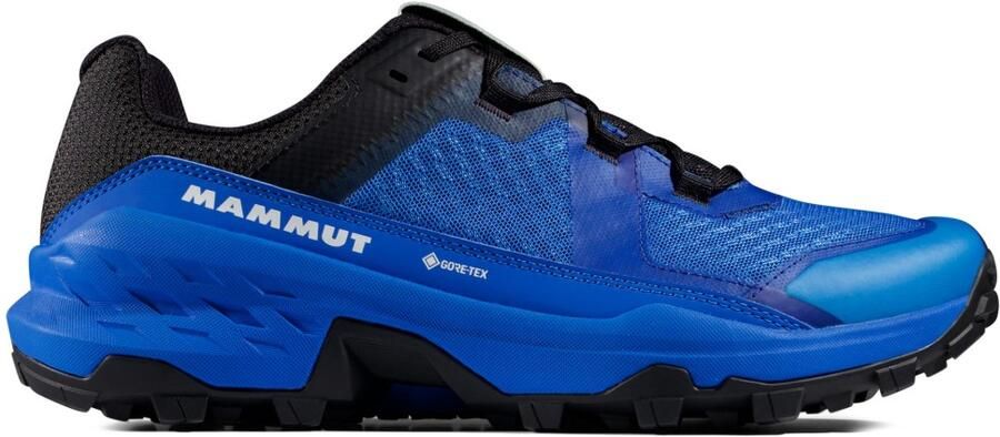 Mammut Girun II Low GTX Multisportschoenen 2 3 blauw
