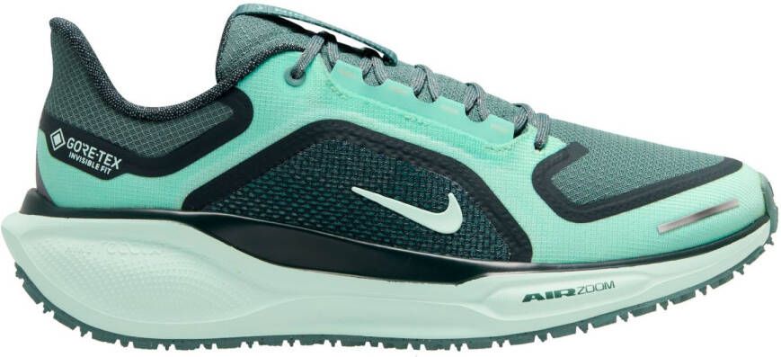 Nike Women's Pegasus 41 GTX Road Running Shoes Hardloopschoenen meerkleurig